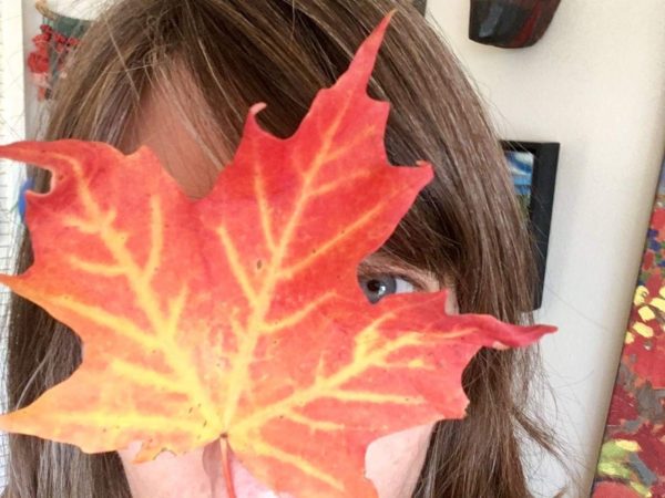 Toronto Tales with Rose Tavelli – Screen Writer